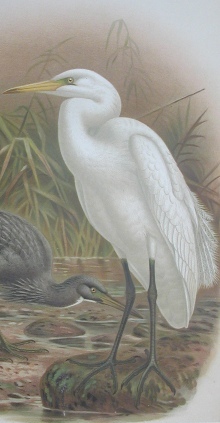 Michell Sime will get you to Reach for the sky as a business coach, personal and life coach